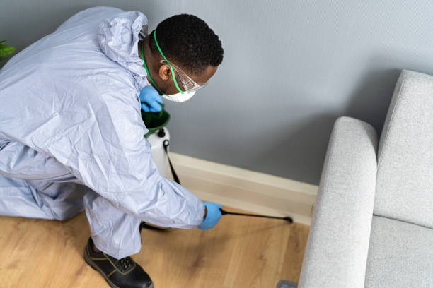 Best Termite Inspection and Treatment  in Glassboro, NJ